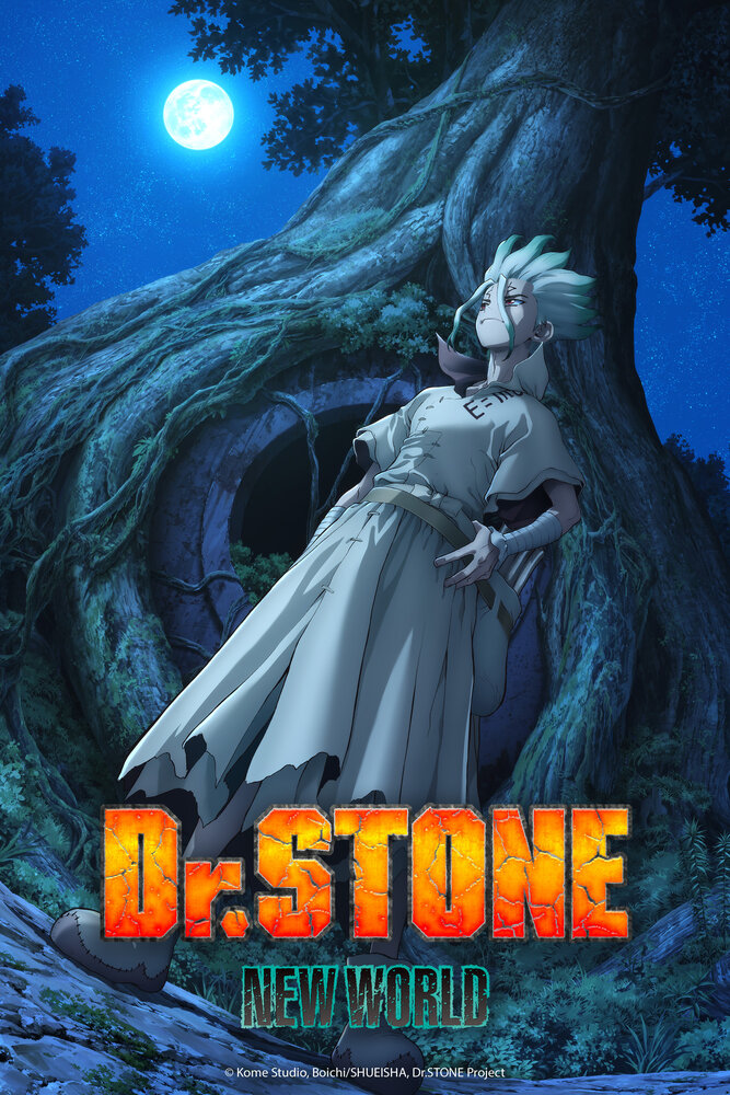 Доктор Стоун (1-4 сезон)