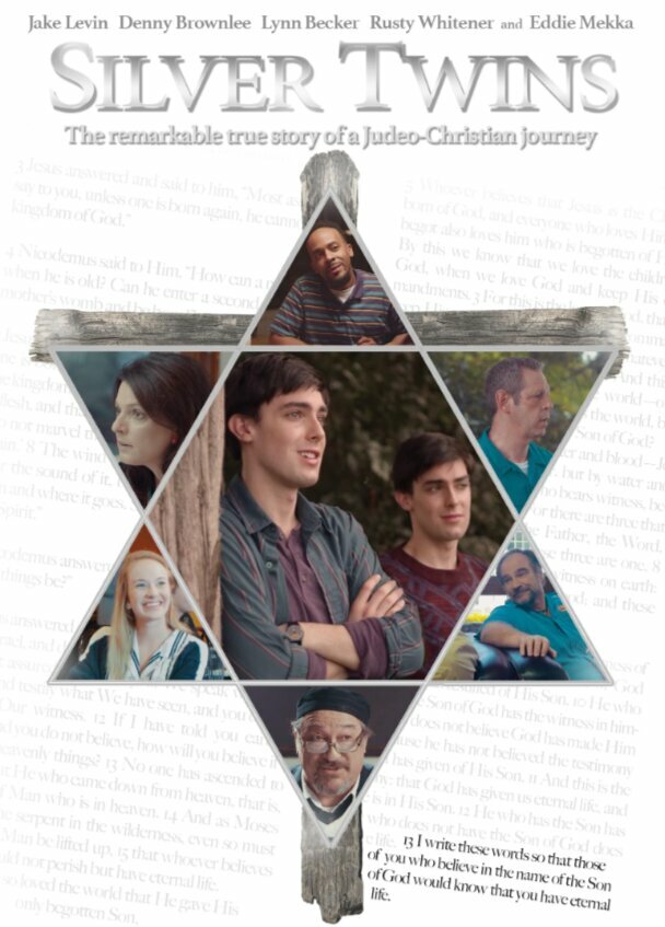 Близнецы Сильвер (2017)