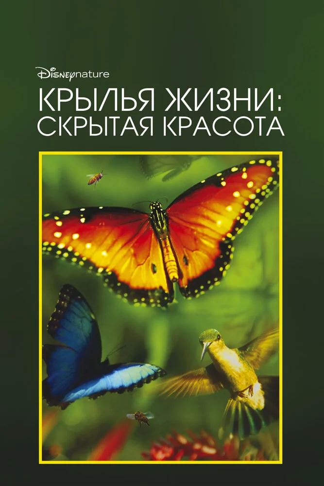 Скрытая красота: История любви, которая питает Землю (2011)