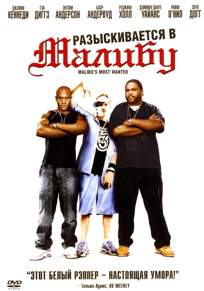 Разыскиваются в Малибу (2003)