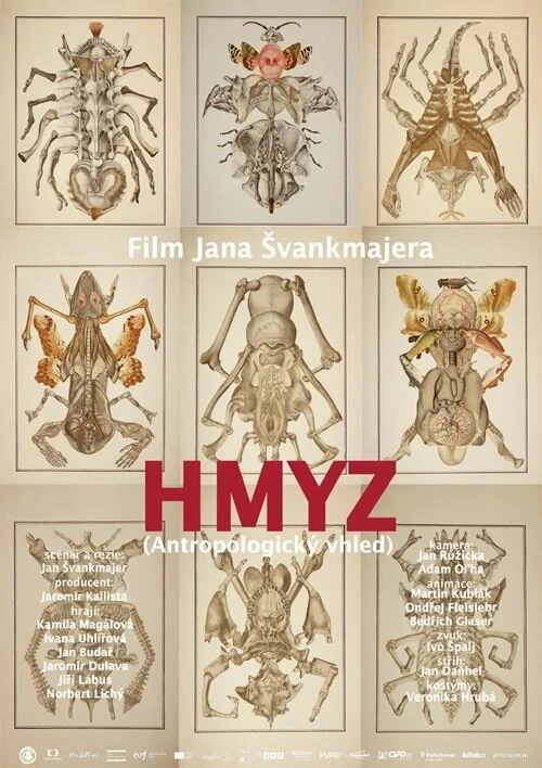 Насекомые (2018)