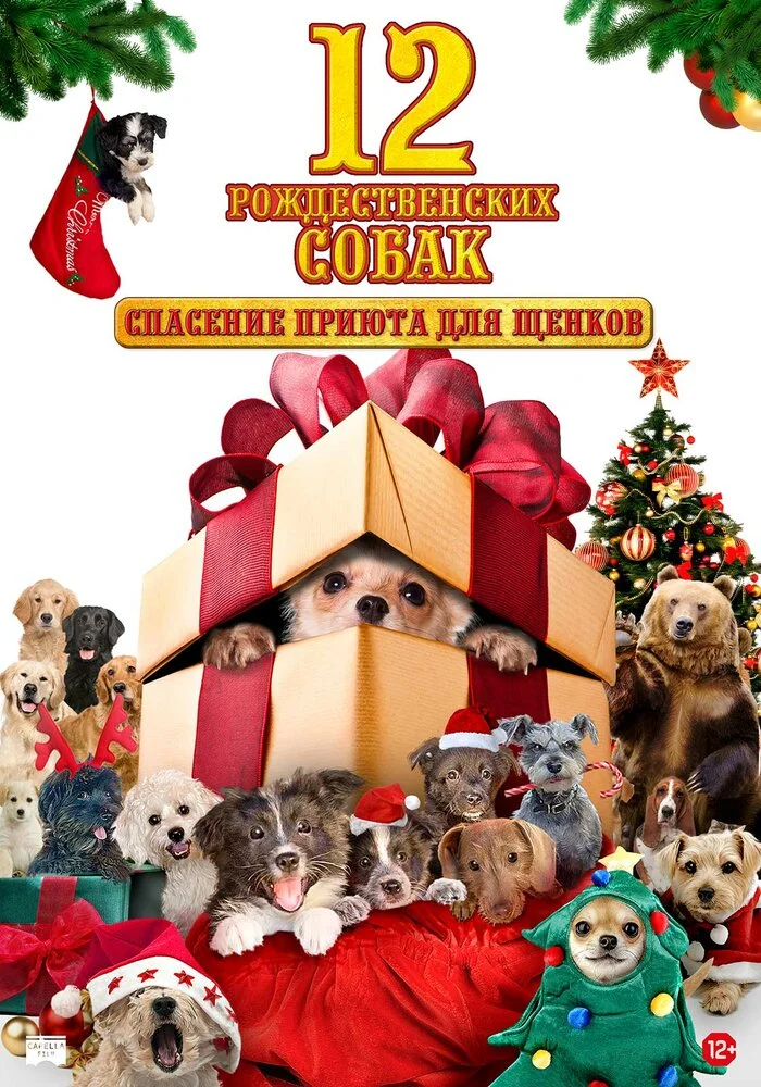 12 рождественских собак 2: Чудесное спасение (2012)