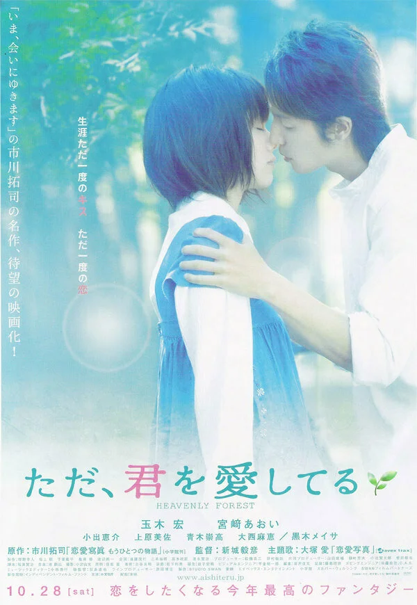 Я просто люблю тебя (2006)