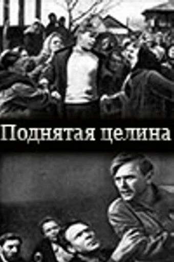 Поднятая целина (1939)