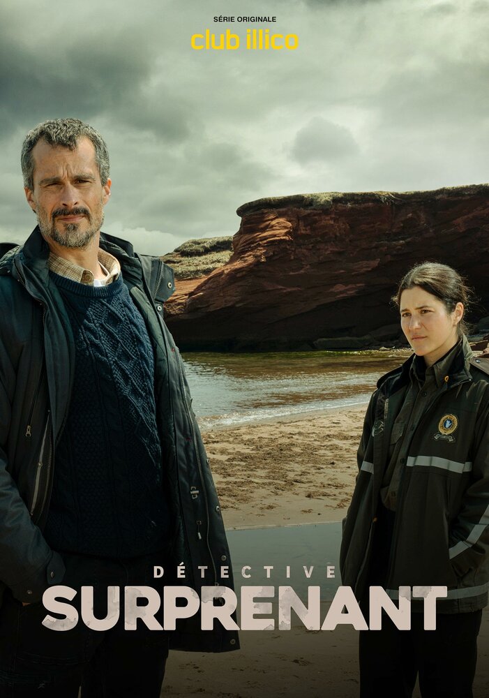 Детектив Сюрпренан. Девушка с застывшим взглядом (1-2 сезон)