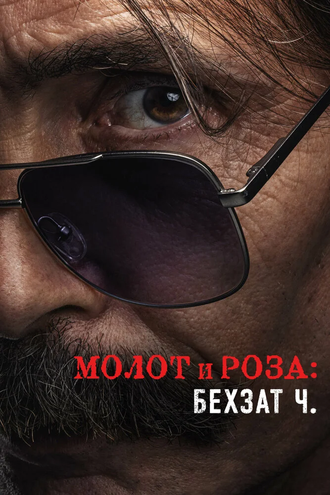 Молот и роза: История Бехзата Ч. (1-2 сезон)