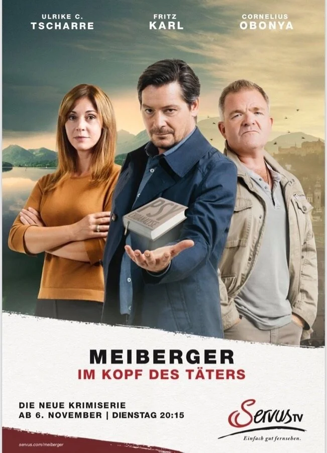 Майбергер. В голове преступника (1-3 сезон)