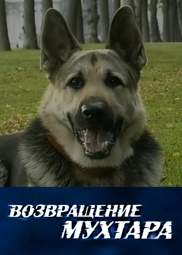 Возвращение Мухтара (1-10 сезон)