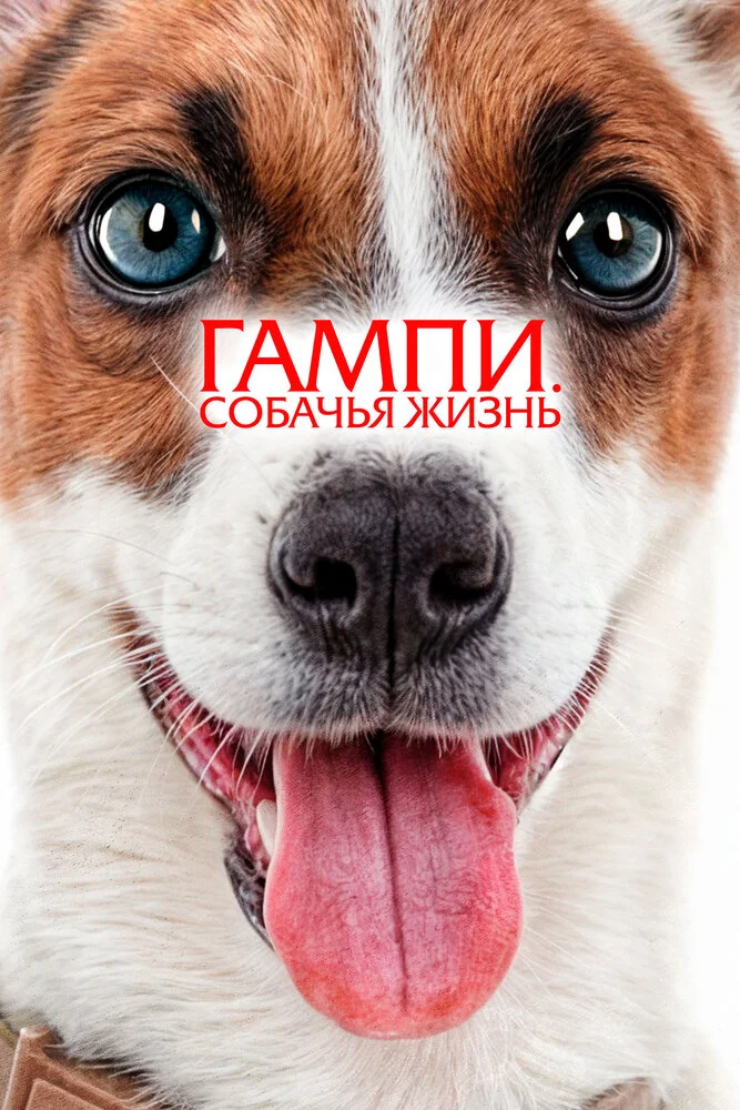 Невероятные приключения Гампи 2 (2024)