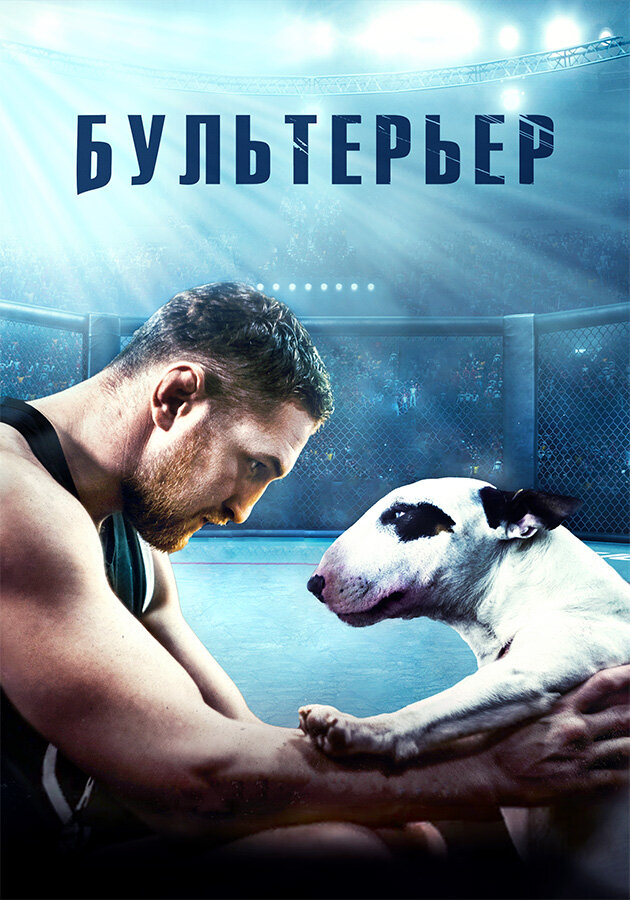 Бультерьер (2021)