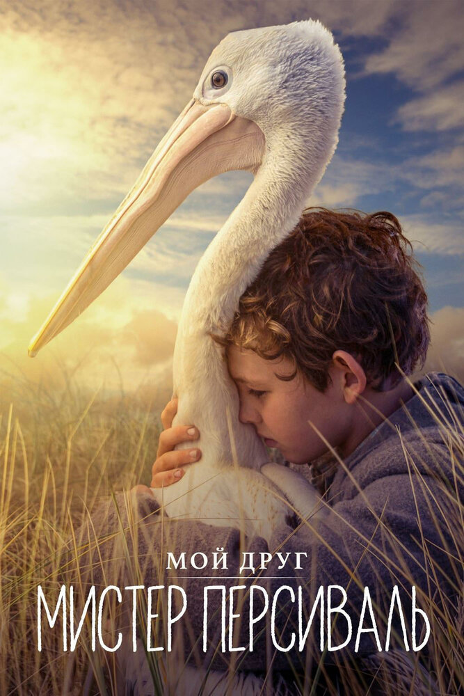 Штормовой мальчик (2019)