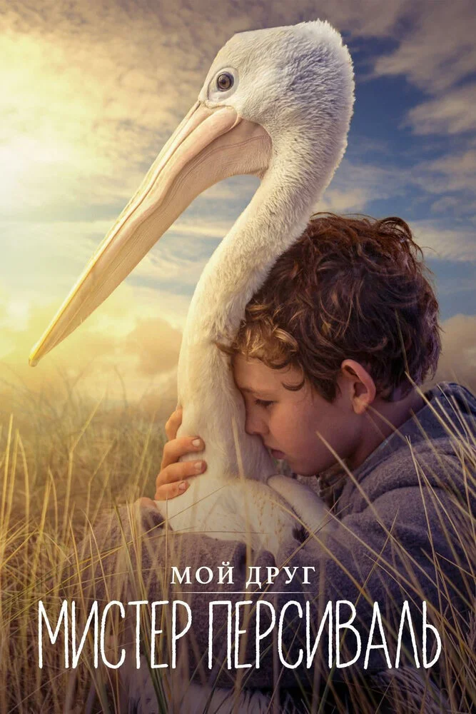 Штормовой мальчик (2019)